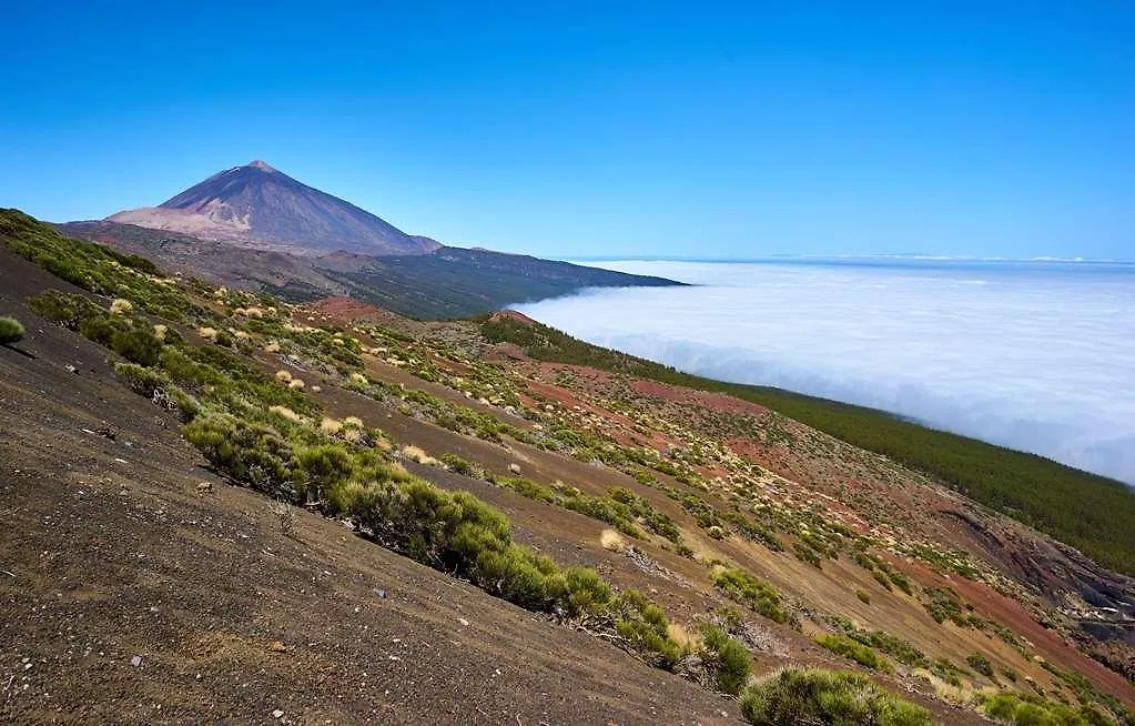 Hotel Meliá Jardines del Teide Costa Adeje